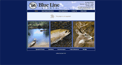 Desktop Screenshot of bluelinesportsllc.com